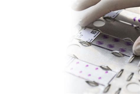 Expanded Test Menu に対する画像結果