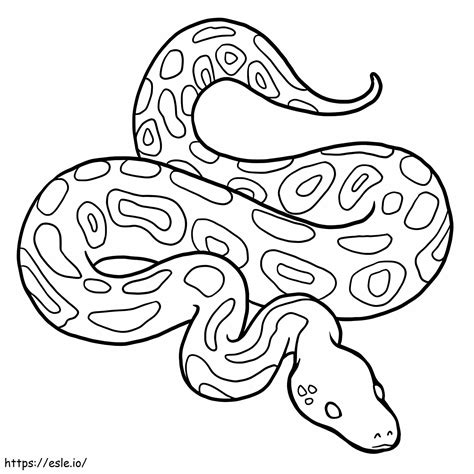 Toradh íomhá ar Python Snake Coloring Page