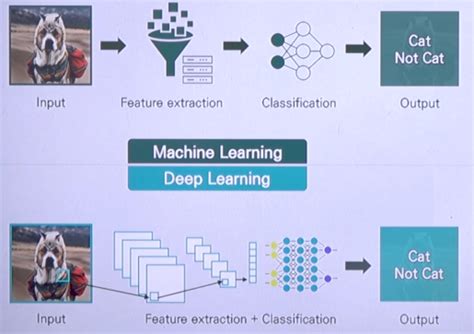 Image result for Feature Extraction in Deep Learning
