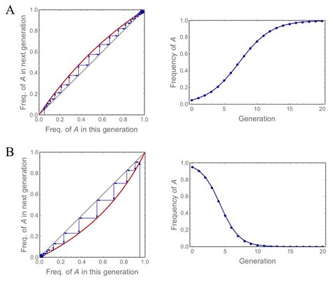 Image result for Discrete Variable Models