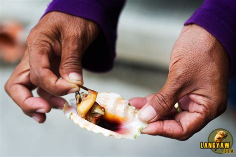 Image result for Saang Meat