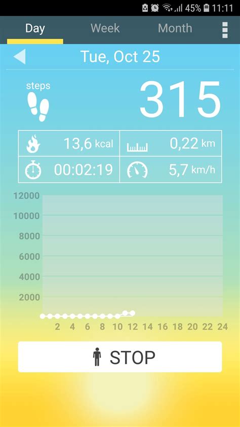 Image result for Pedometer Step Chart