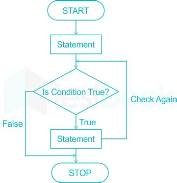 While Loop Questions PDF に対する画像結果