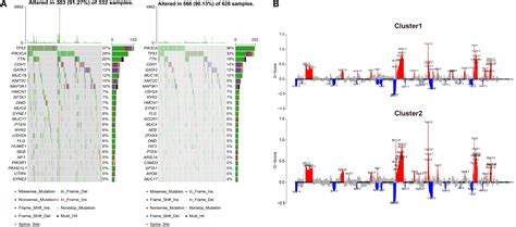 Afbeeldingsresultaten voor Copy Number Variation Mutation