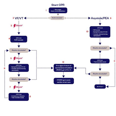 Image result for ACLS Algorithm with Pulse
