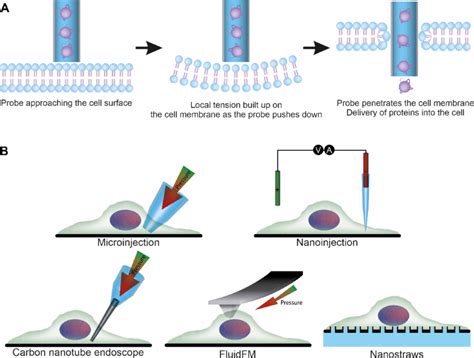 Research Method Injection に対する画像結果