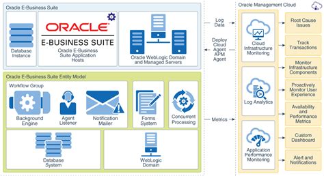 Image result for Oracle Database Managment System