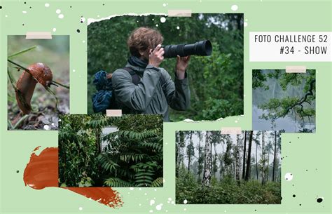 Toradh íomhá ar Foto Challenge