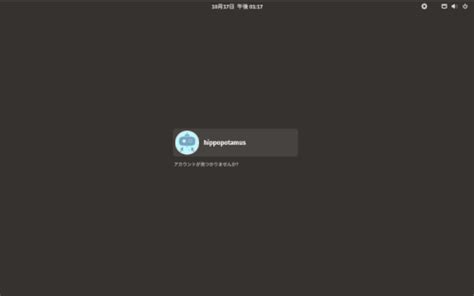 Pop OS Interface に対する画像結果