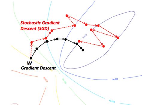 Stochastic Gradient Descent Giff に対する画像結果