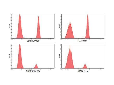 Afbeeldingsresultaten voor Multicolor Flow Cytometry