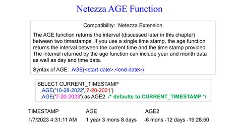 Image result for Netezza Software