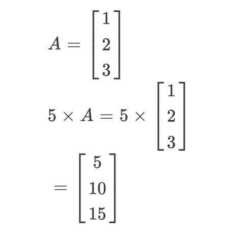 Image result for Linear Algebra Vector Matrix Multiplication