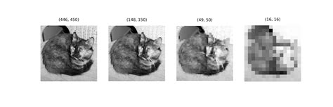 Convolutional Neural Network Max Pooling に対する画像結果