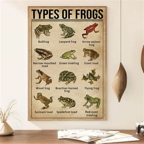 Types of Frog Names に対する画像結果