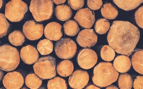 Network Stubbing ਲਈ ਪ੍ਰਤੀਬਿੰਬ ਨਤੀਜਾ