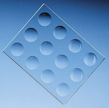 Image result for Microscope Slide with Grid