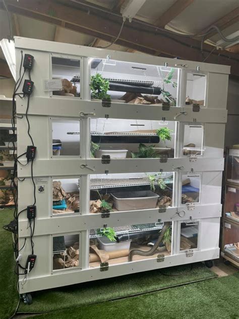 Image result for How to Build a Snake Cage Plans