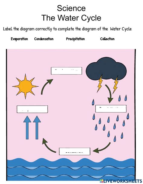 Image result for Water Cycle Module Grade 4