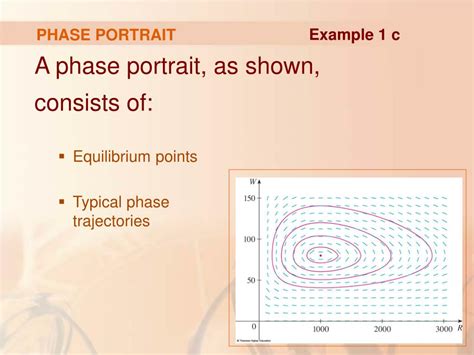 Image result for Phase Portrait