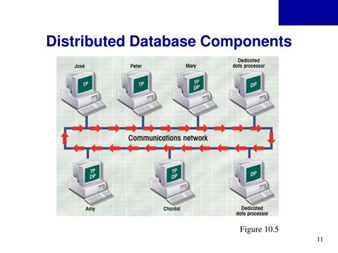 Image result for Component of Distributed Database System