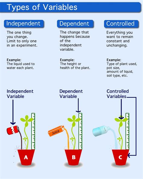 Image result for Control Independent Dependent Variable