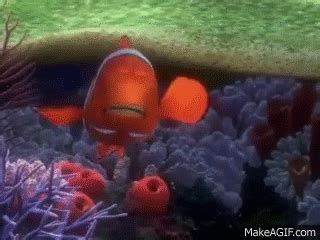 Image result for Finding Nemo Drop Off