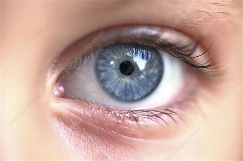 Résultat d’images pour Eye Pic with Computer Love