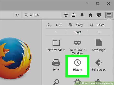 Image result for Browsing History View