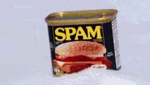 Image result for Python Spam Animated GIF