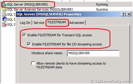 +File Stream SQL Server に対する画像結果
