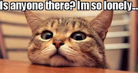 30 Lonely Memes to Make You Feel Less Alone - SayingImages.com