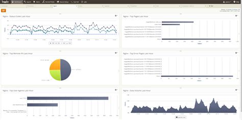 Nginx Access Log에 대한 이미지 결과