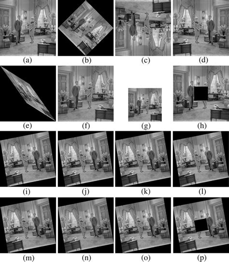 Image result for Image Normalization