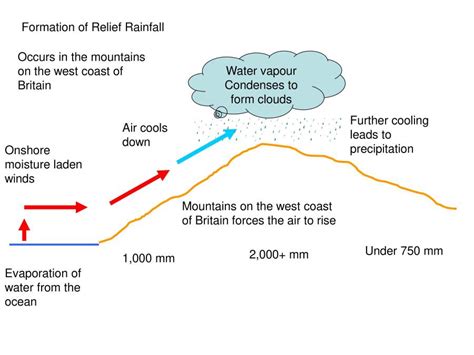 Rainfall Formation に対する画像結果