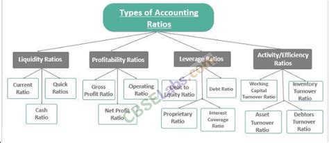 Class 12 Accountancy Accounting Ratios Project に対する画像結果