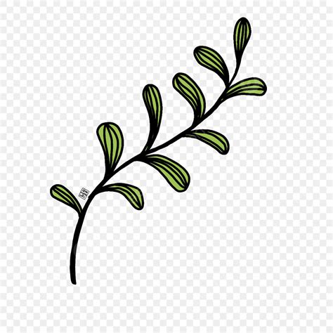 Image result for Simple Leaf Drawing Transparent Background