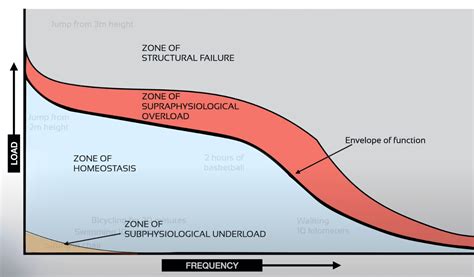 Restricted Envelope of Function に対する画像結果