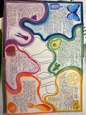 Image result for Second Quarter Design Notebook