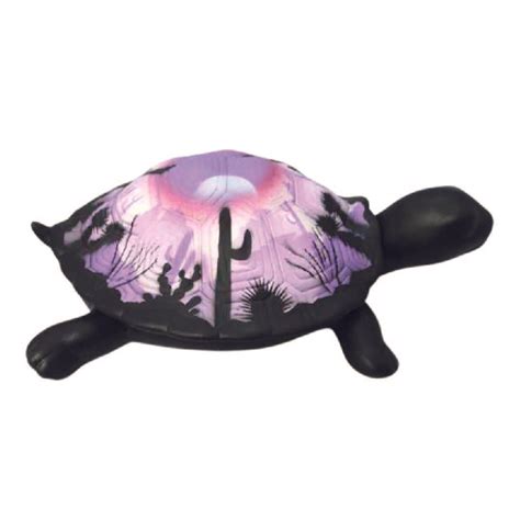 Purple Turtle Box Shell に対する画像結果