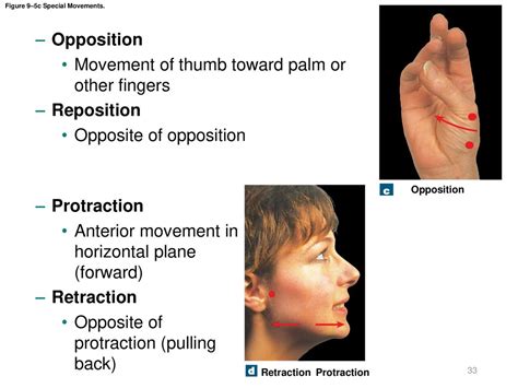Image result for Protraction Movement Example