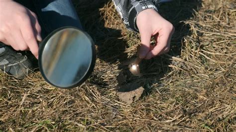 Image result for Fire with Magnifying Glass