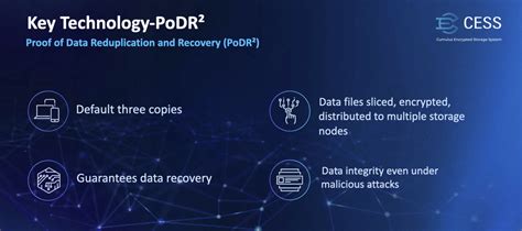 Cess Example Numerical に対する画像結果