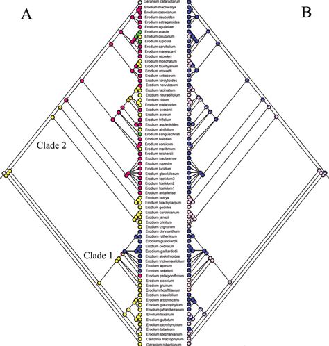 Image result for Maximum Likelihood Evolution