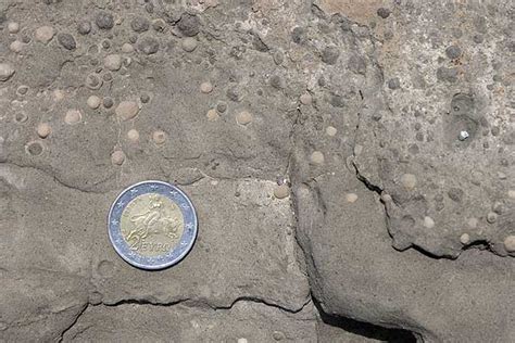 Image result for Lapilli Drawing