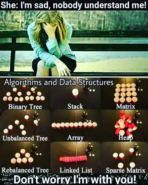 Image result for Data Structure Meme