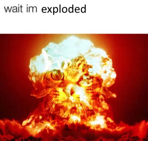 Image result for Exploded Ball Meme