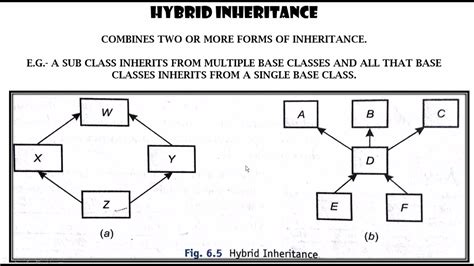 Image result for Example Diagram for Inheitance in Computer Science