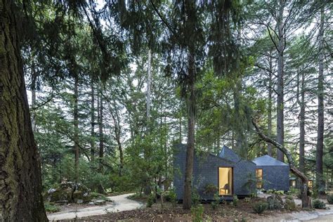 Modular Tree Structure に対する画像結果