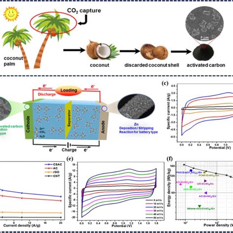 Toradh íomhá ar Coconut Shell Pac
